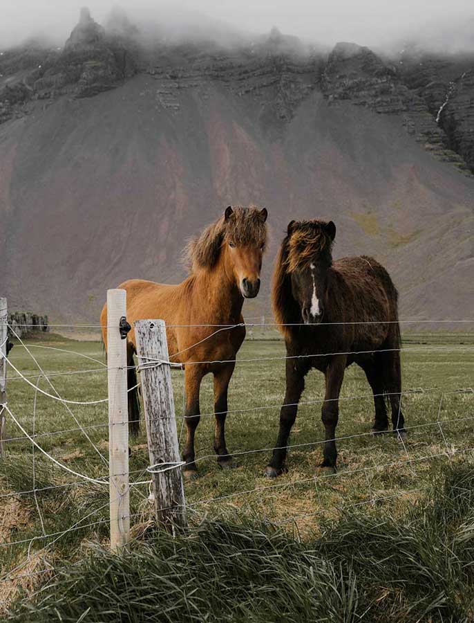 image 2.jpg